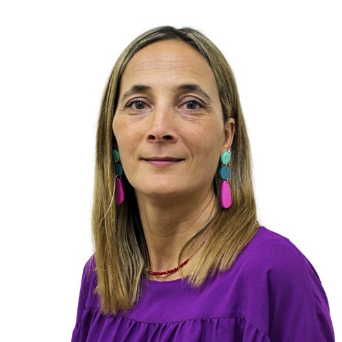 Prof. Andrea Calvo